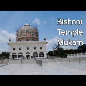 bishnoi mandir