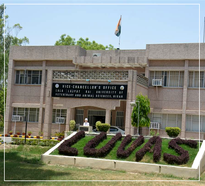 Lala Lajpat Rai University of Veterinary and Animal Sciences (LUVAS)
